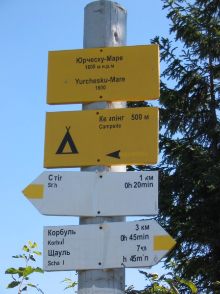 azbuka i latinka