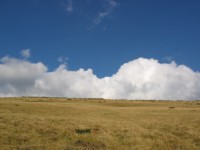 tráva, mraky, nebe